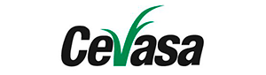 cevasa